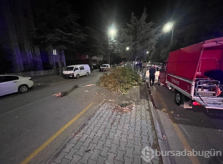 Takla atan otomobilden çıkartılan sürücünün ilk sözü şaşkınlık yarattı