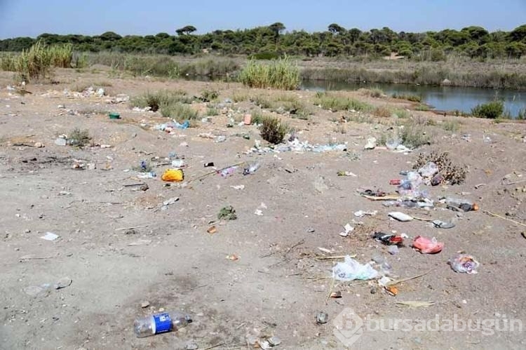 Kumköy sahilinde yine 'çöp manzarası'
