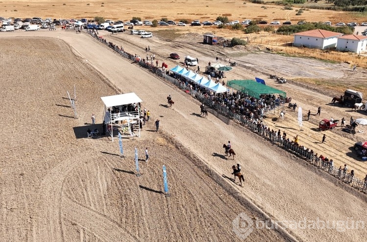 İlk kez düzenlenen 1. Ayvalık Rahvan Atları Yarışlarına ilgi yoğun oldu
