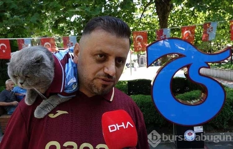 Fanatik kedi 'Tom'a maç izlemek için stadyuma vize