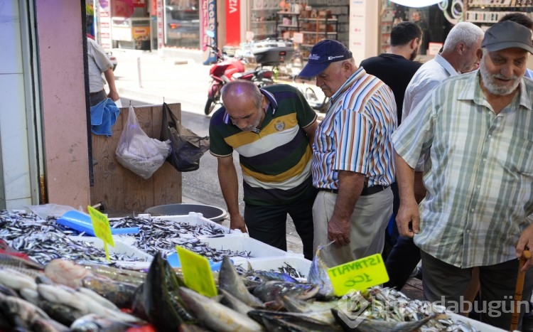 Karadeniz'in incisi hamsi tezgahlarda