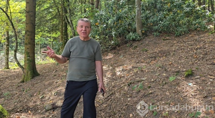 Bin 200 kilometre uzaktan gelip diktiği fidanlar orman oldu