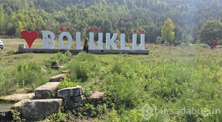 Bin 200 kilometre uzaktan gelip diktiği fidanlar orman oldu