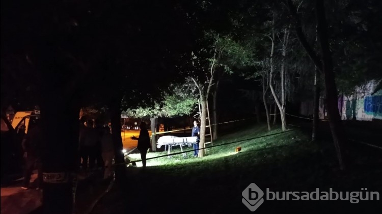 Ağaca asılı halde ölü bulundu