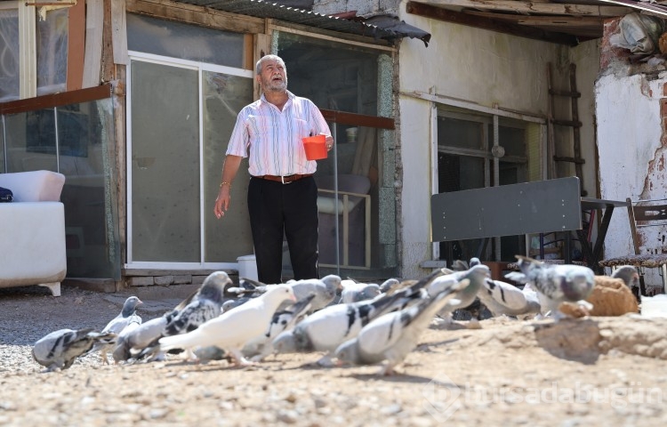 Banka kasası değil güvercin kümesi