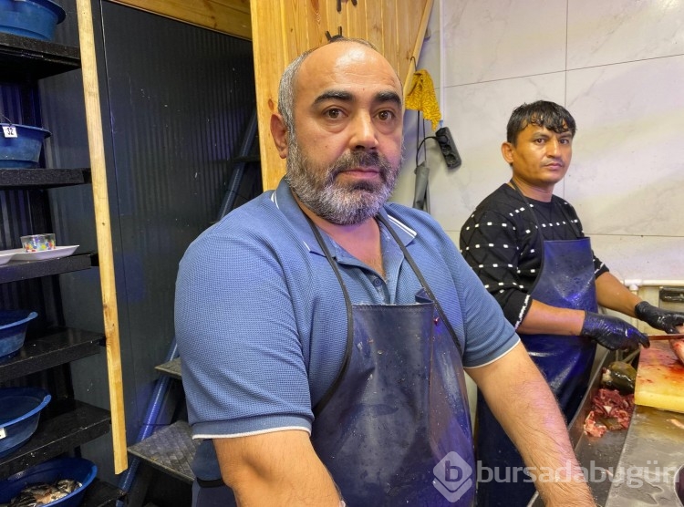 Balık sezonu bereketli başladı