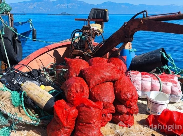 Kaçak avlanan 600 kilo midye tekrar denize bırakıldı