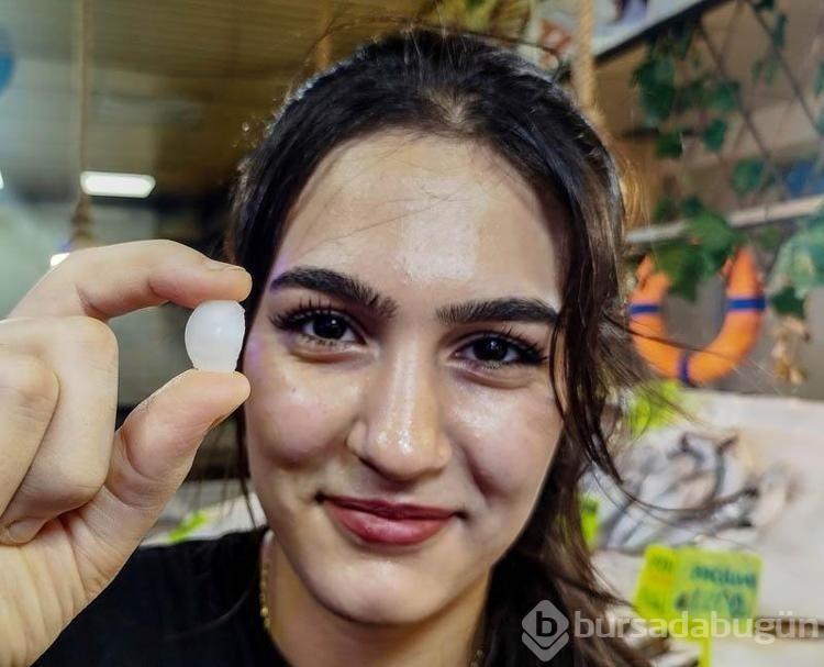 Balık 650, başındaki taş 10 bin lira