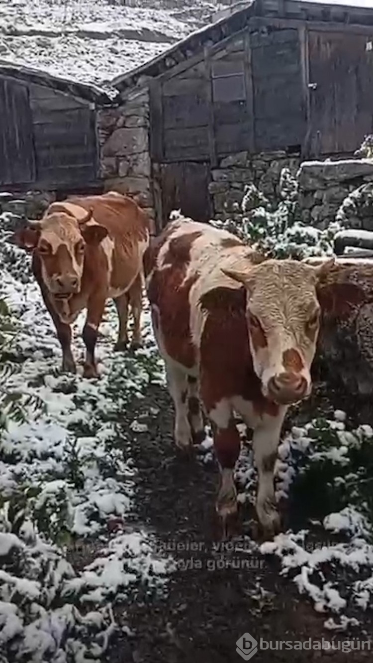 Kaçkarlar beyaz örtüyle kaplandı