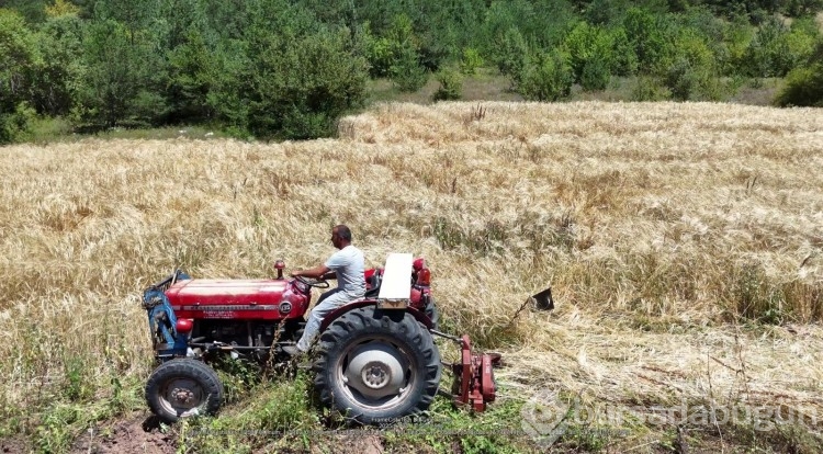 İstanbul'dan Ordu'ya uzanan çiftçilik öyküsü başarıya dönüştü