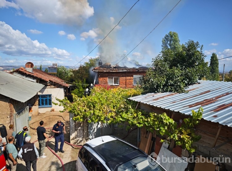 Bilecik'te çıkan yangın korkuttu