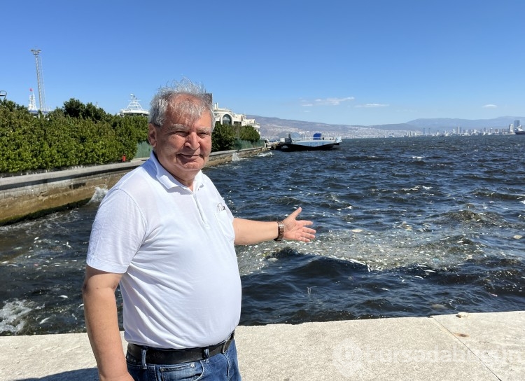 İzmir Körfezi'nde balık ölümleri yeniden başladı