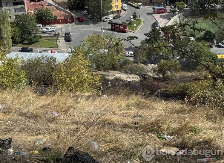 Kağıthane'de ağaçlık alan alev alev yandı
