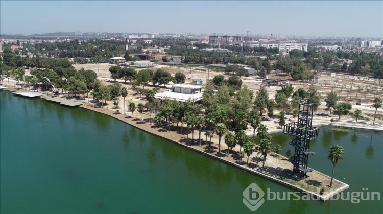 1 milyonu aşkın kişi ankete katıldı! İşte il il Türkiye'nin IQ ortalaması: Bursa'nın sırası şaşırttı