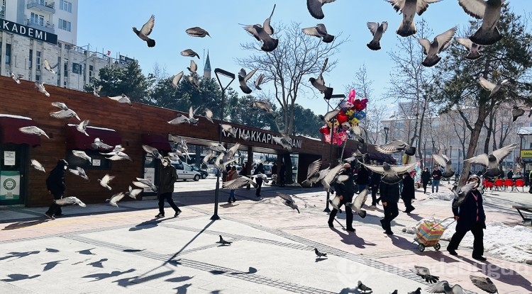 1 milyonu aşkın kişi ankete katıldı! İşte il il Türkiye'nin IQ ortalaması: Bursa'nın sırası şaşırttı