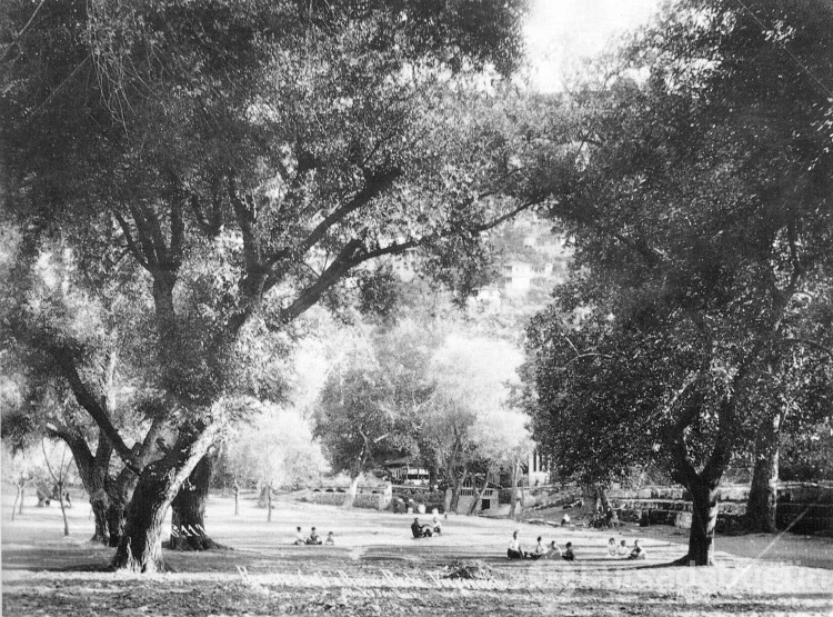 100 yıl önce Bursa