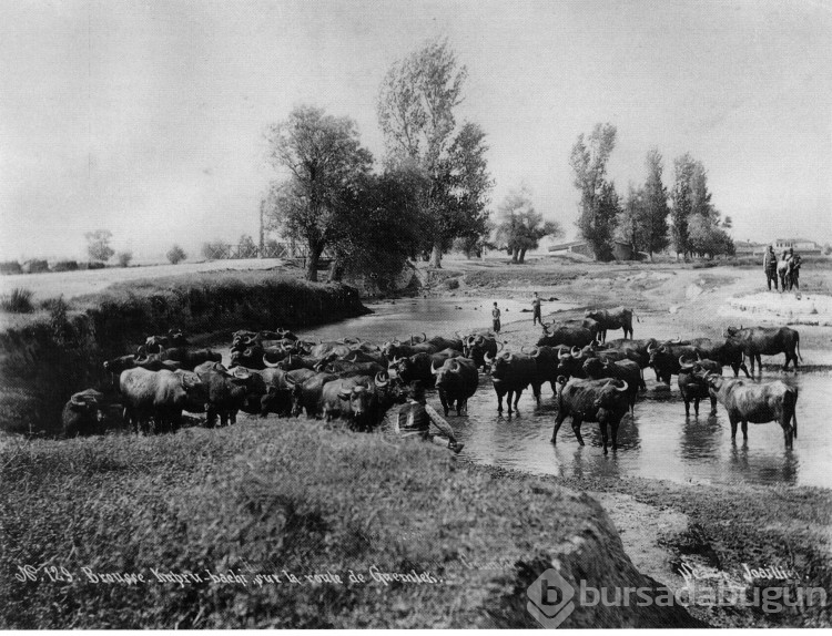 Arşivden Çıkan Kareler: İşte Bursa'nın Unutulmaz Eski Fotoğrafları