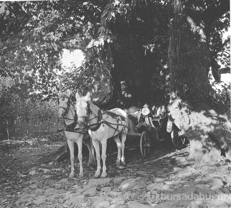 Arşivden Çıkan Kareler: İşte Bursa'nın Unutulmaz Eski Fotoğrafları
