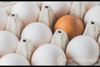 Kahverengi mi beyaz mı: Yumurtaların renkler...