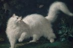 Sanat tarihindeki en popüler 10 kedi resmi