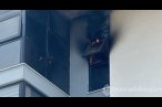 Alanya'da hukuk bürosunda yangın
