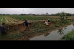Tüm dünyayı dehşete düşürdü! Dedektörle aray...