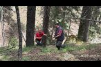 Hasat mevsimi başladığı için doğada kendi ke...