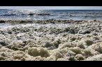 İskenderun Körfezi'nde beklenmeyen köpük!