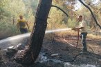 Bursa'da orman yangınlarıyla mücadele devam ...