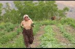 Arıcılığa başlayan anne birçok şehre bal sat...