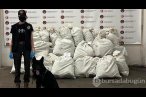 Kapıkule'de 245 kilo esrarı Füge buldu