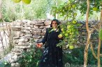 Yüksekova'da ekşi elma mesaisi