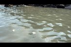 Amasra'da kanalizasyon suyunun denize akması...