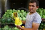 İran'dan Türkiye'ye getirdi! dışı yeşil, içi...
