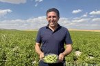 Ağrı'da yetişmez denilen fasulye, yüksek ver...