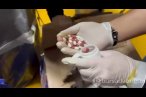 Esenler ve Bağcılar'da uyuşturucu operasyonu...