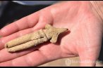 Ulucak Höyüğü'nde 8 bin yıllık Göbeklitepe ü...