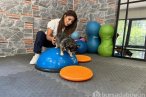 Görme engelli obez köpek pilates sayesinde z...