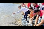 Edirne'de 30 bin yavru sazan gölete bırakıldı
