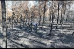 Çanakkale'de bu yıl çıkan yangın sayısı ve z...