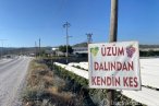 Dalından satışla ekonomiye katkı