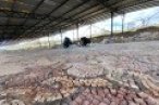 Romalıların antik kenti Pompeiopolis sanatla...