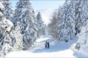 Uludağ'dan kartpostallık manzaralar