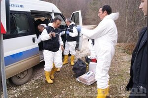 Kayıp Sinem Yurdanur'un saçları ve kemikleri bulundu!