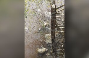 Bursa'daki bu dereden ölüm akıyor