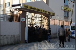 Bursa'da yetiştirilmesi yasak olan köpek dehşet saçtı