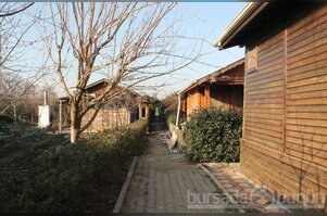 Bursa hobi bahçelerinde hırsızlık şoku - ÖZEL HABER
