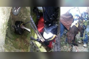 Bursa'da AKUT'tan ilginç operasyon