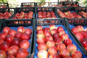 35 derece sıcakta işçilerin ekmek kavgası 