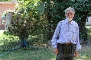 Bursa'da doğa harikası yeni sahibini bekliyor